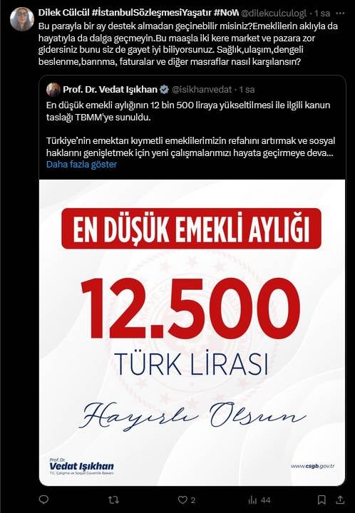 Bakanın Dalga Geçer Gibi Emekli Maaşı Paylaşımı İsyan Ettirdi 2